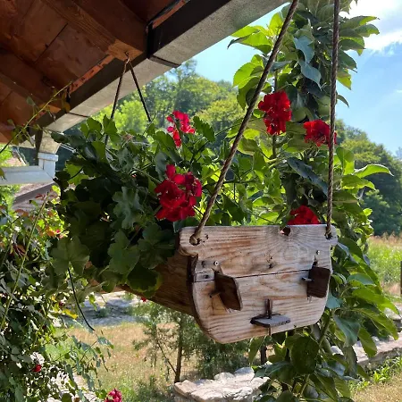 Hébergement de vacances Kod Pece Bajina Basta